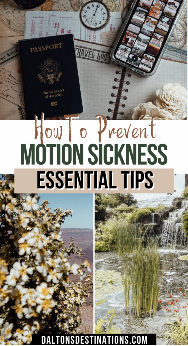 Helpful Tips To Prevent Motion Sickness While Traveling • Dalton's ...