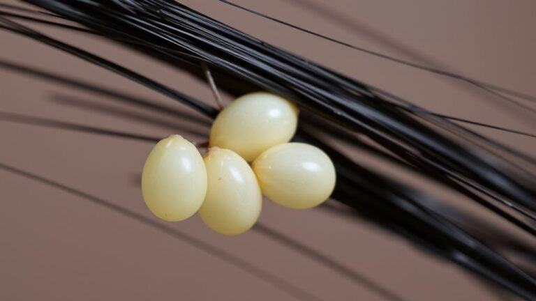 color of lice eggs
